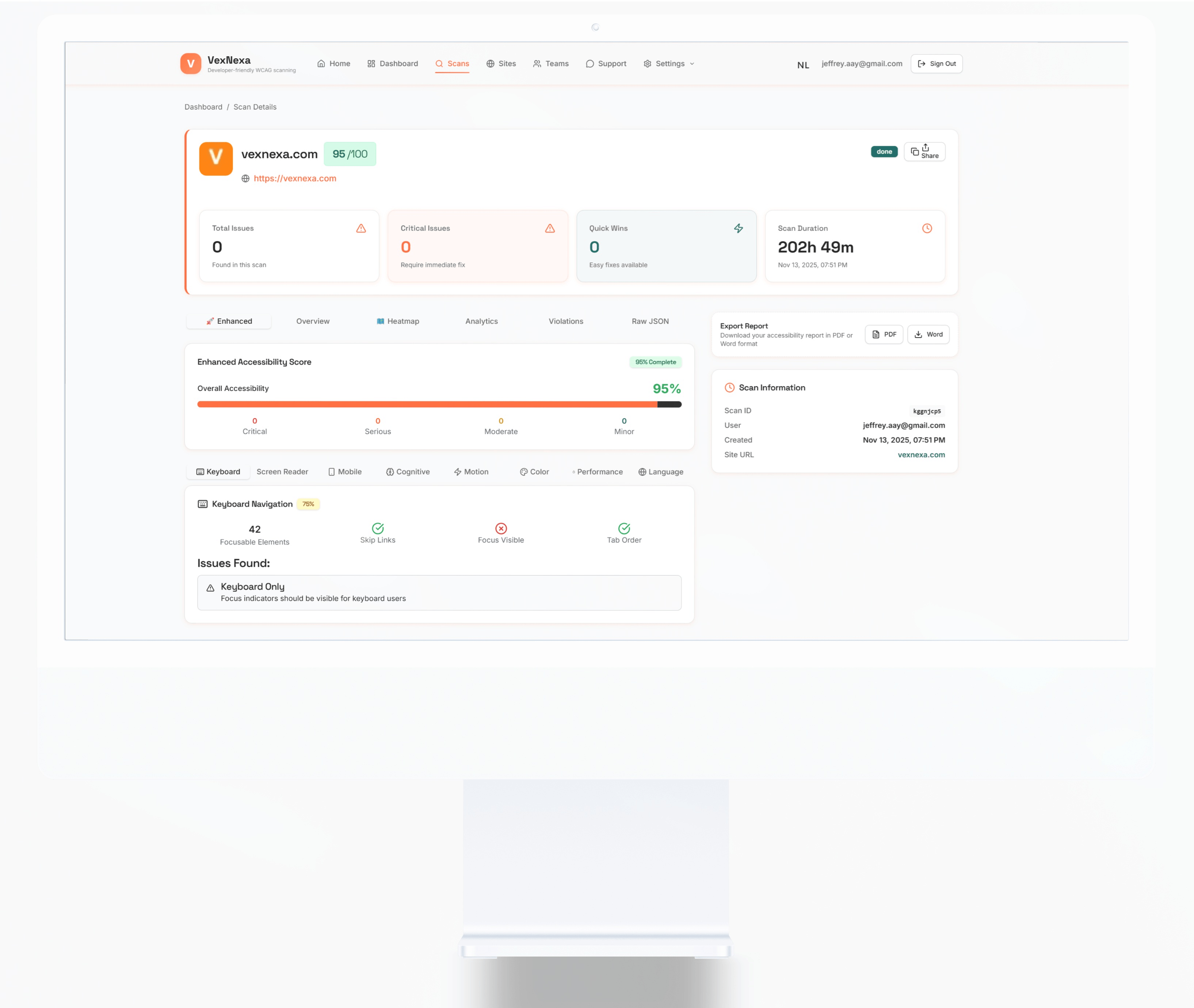 VexNexa scan detail report showing accessibility issues with prioritization and remediation tips